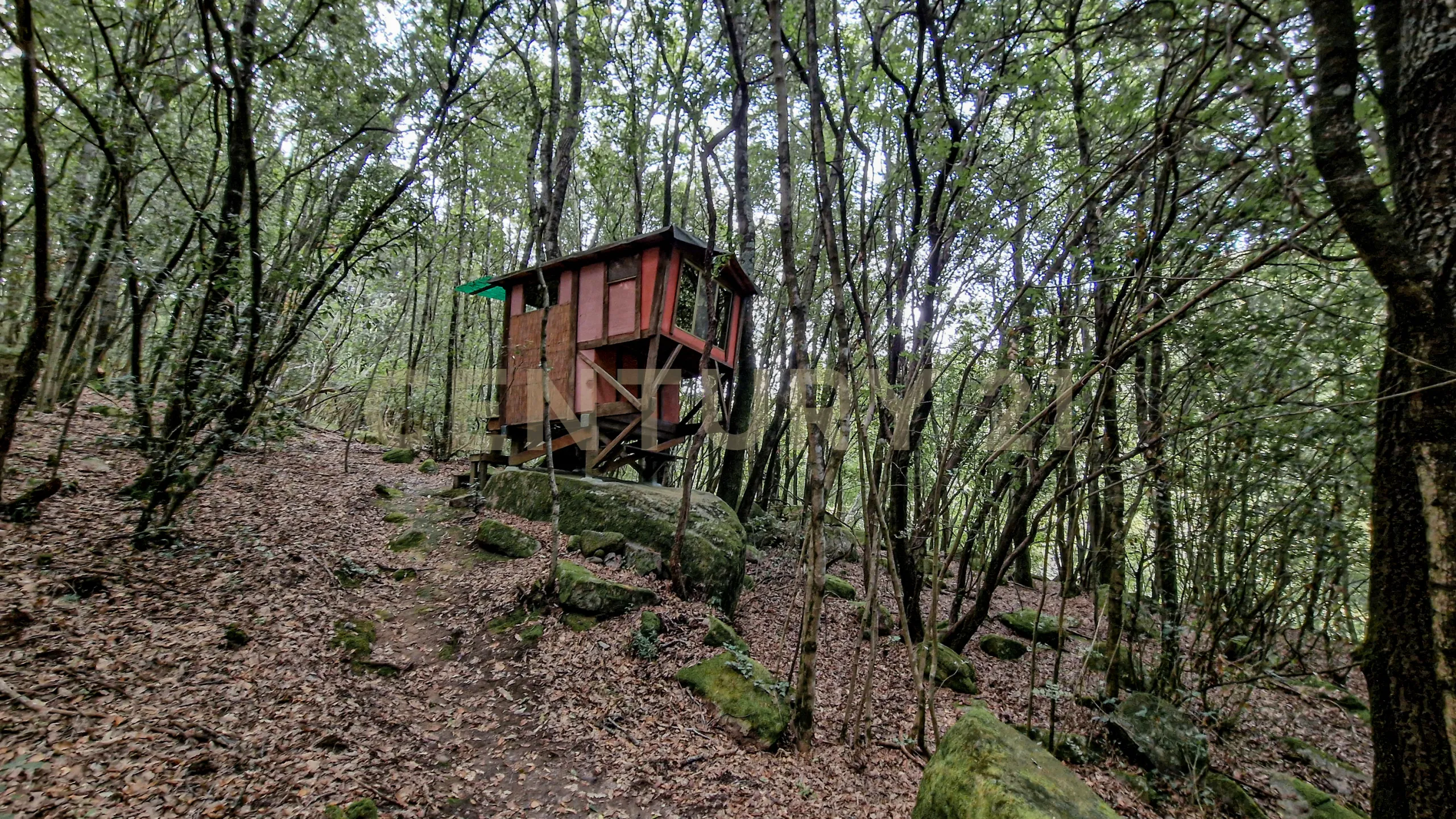 Foto 2 di 50 - Casa indipendente in vendita a Roccastrada