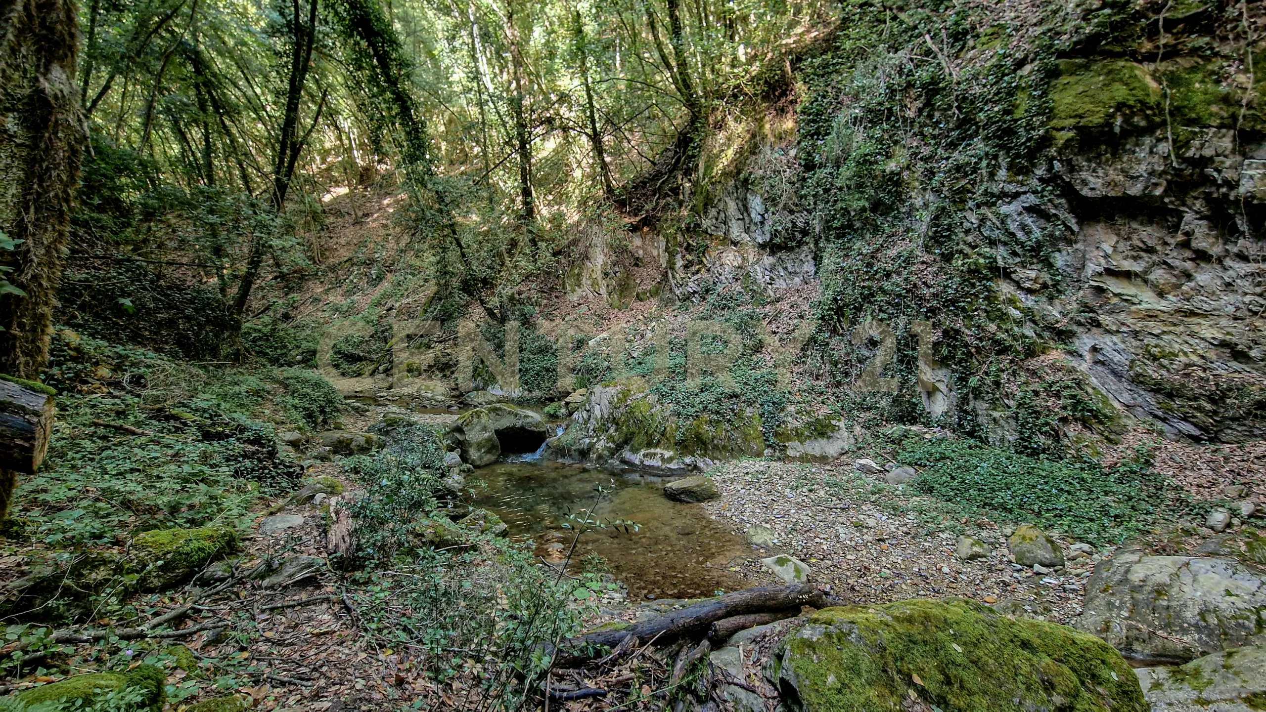 Foto 40 di 50 - Casa indipendente in vendita a Roccastrada