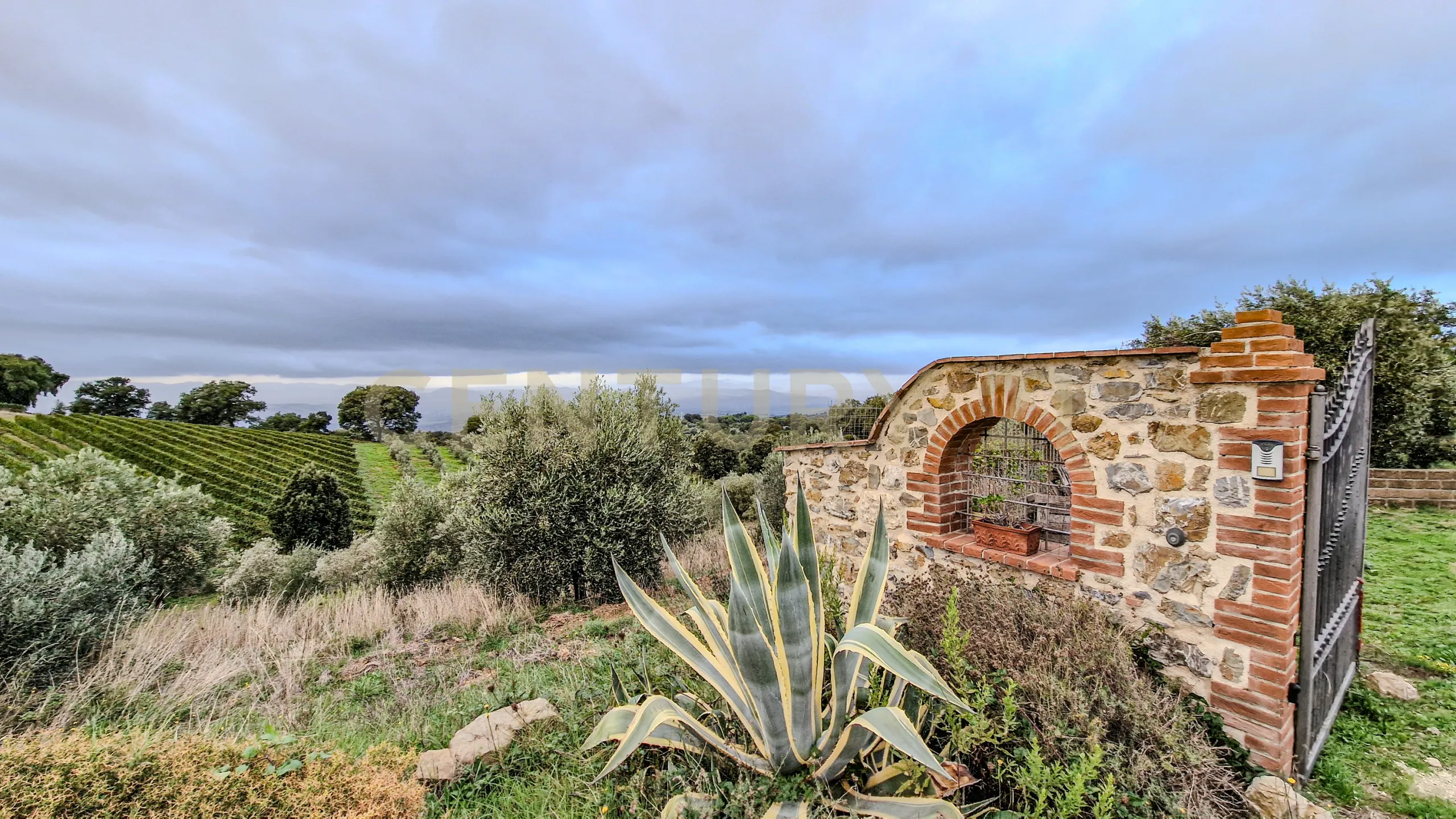 Foto 4 di 28 - Casa indipendente in vendita a Scansano