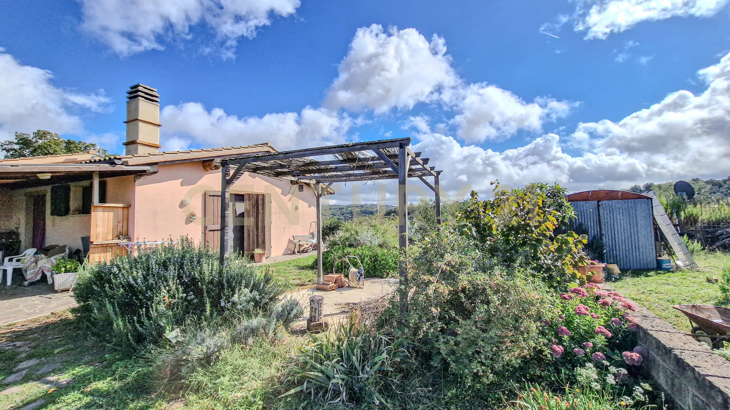 Foto 5 di 28 - Casa indipendente in vendita a Scansano