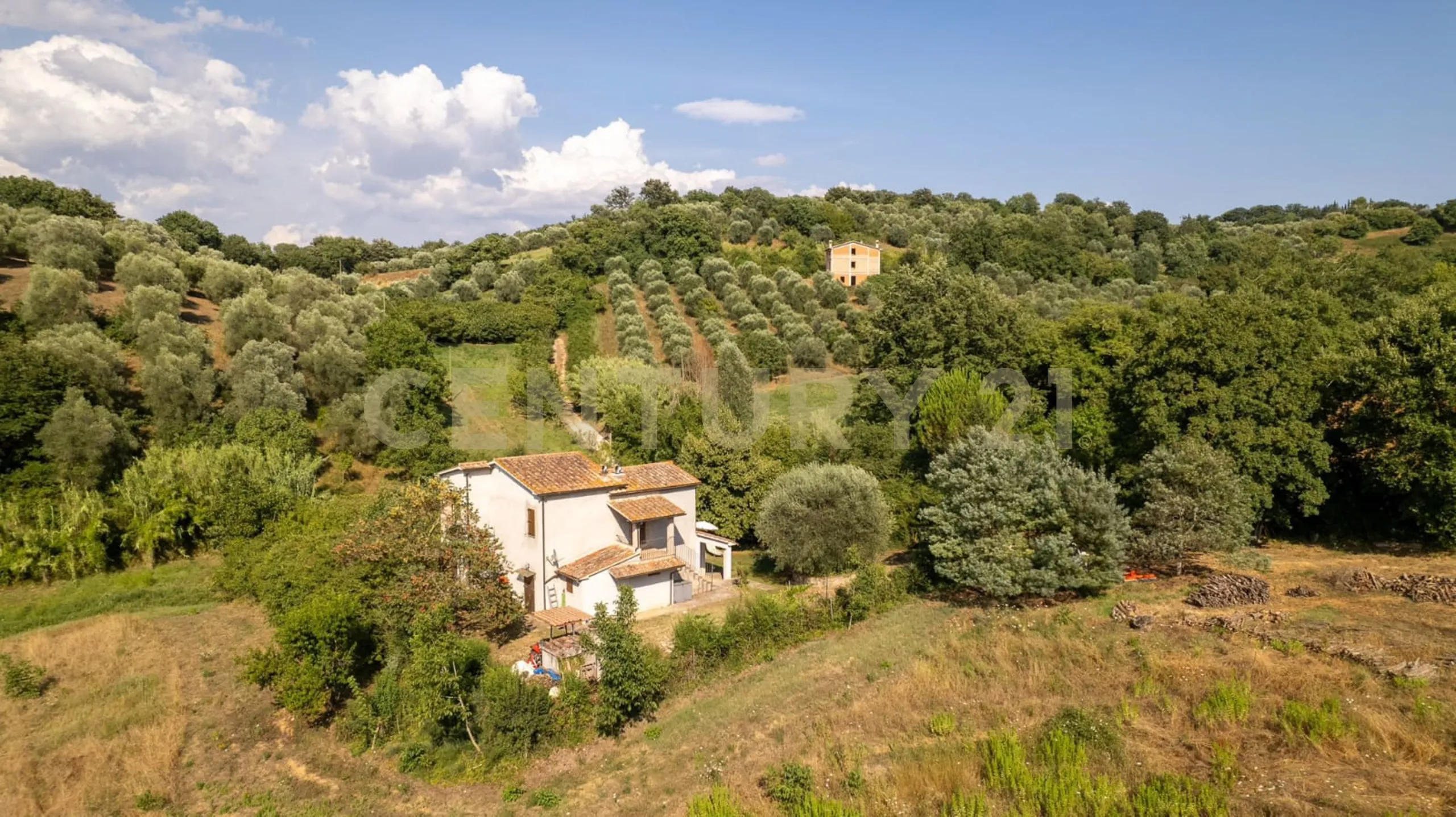 Foto 5 di 42 - Casa indipendente in vendita a Manciano