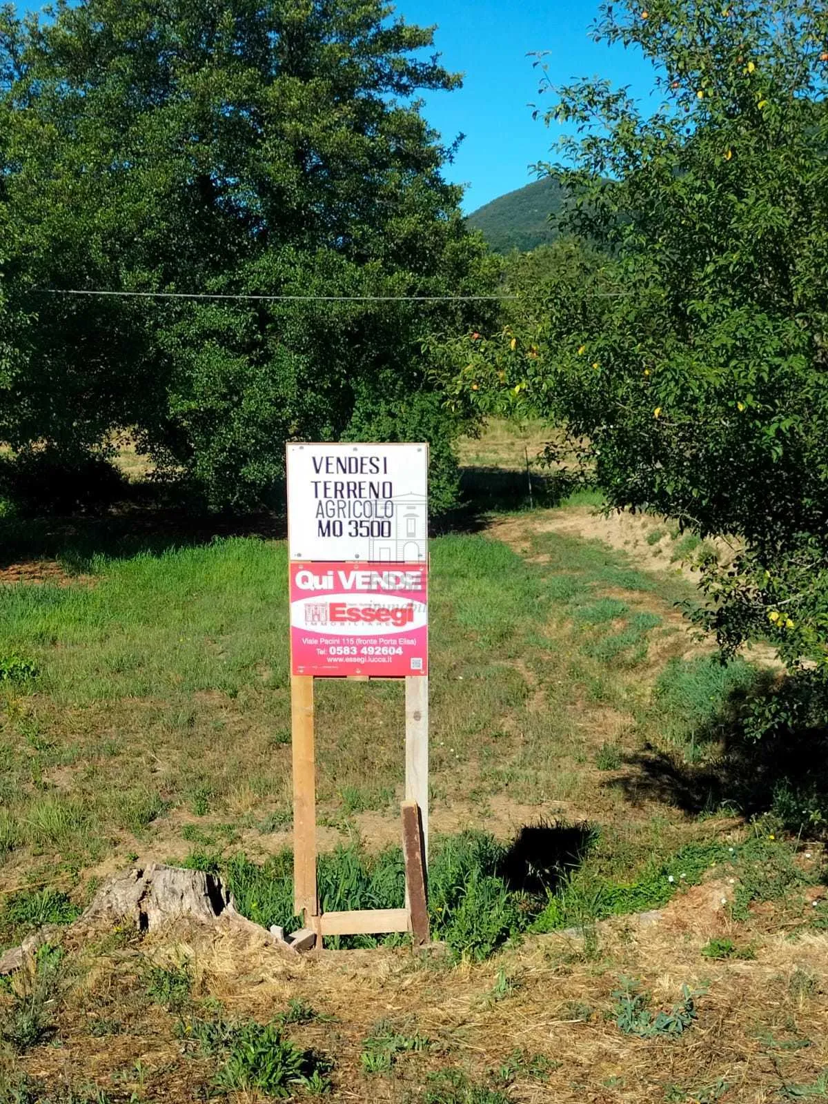 Attività commerciale in vendita a Lucca