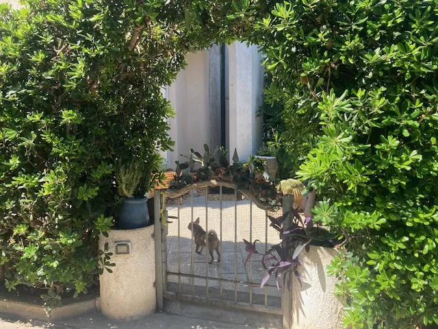 Foto 5 di 47 - Villa in vendita a Brindisi