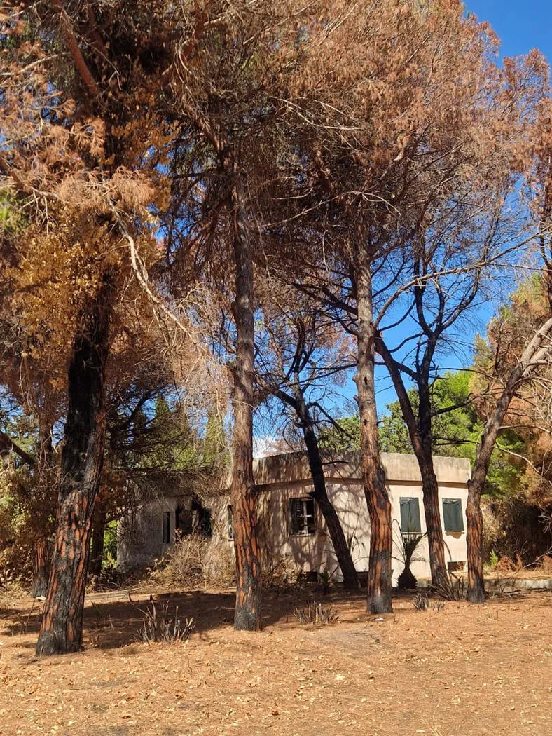 Foto 7 di 20 - Villa in vendita a Brindisi