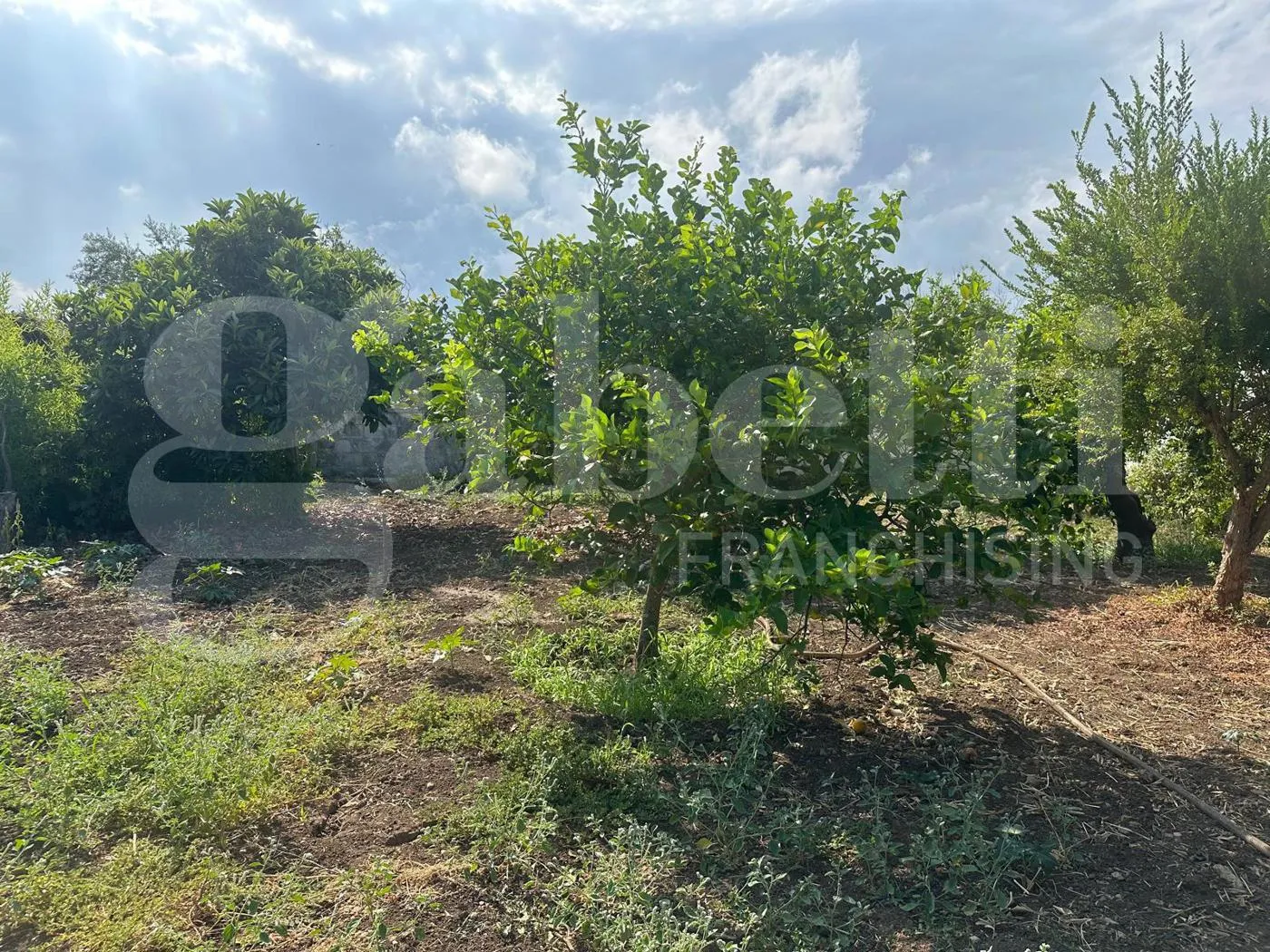 Foto 40 di 45 - Villa in vendita a Avola