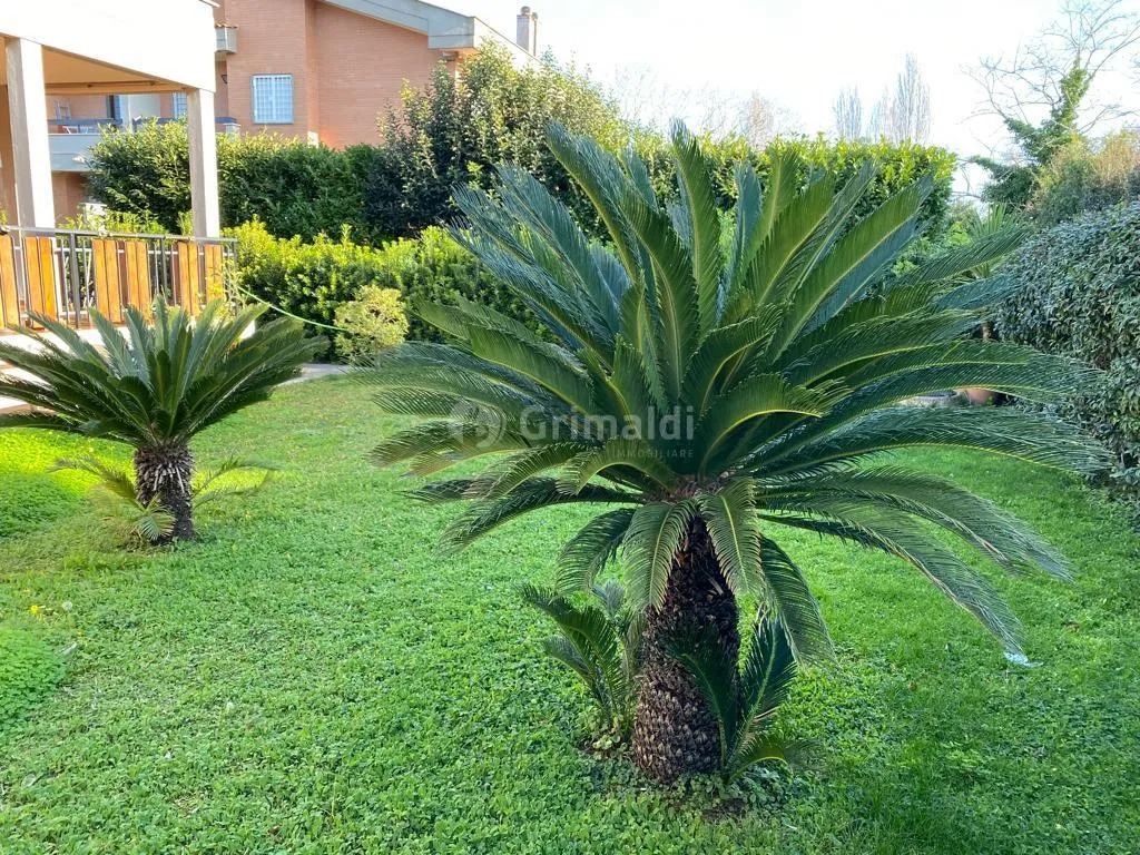 Foto 1 di 32 - Casa indipendente in affitto a Anzio