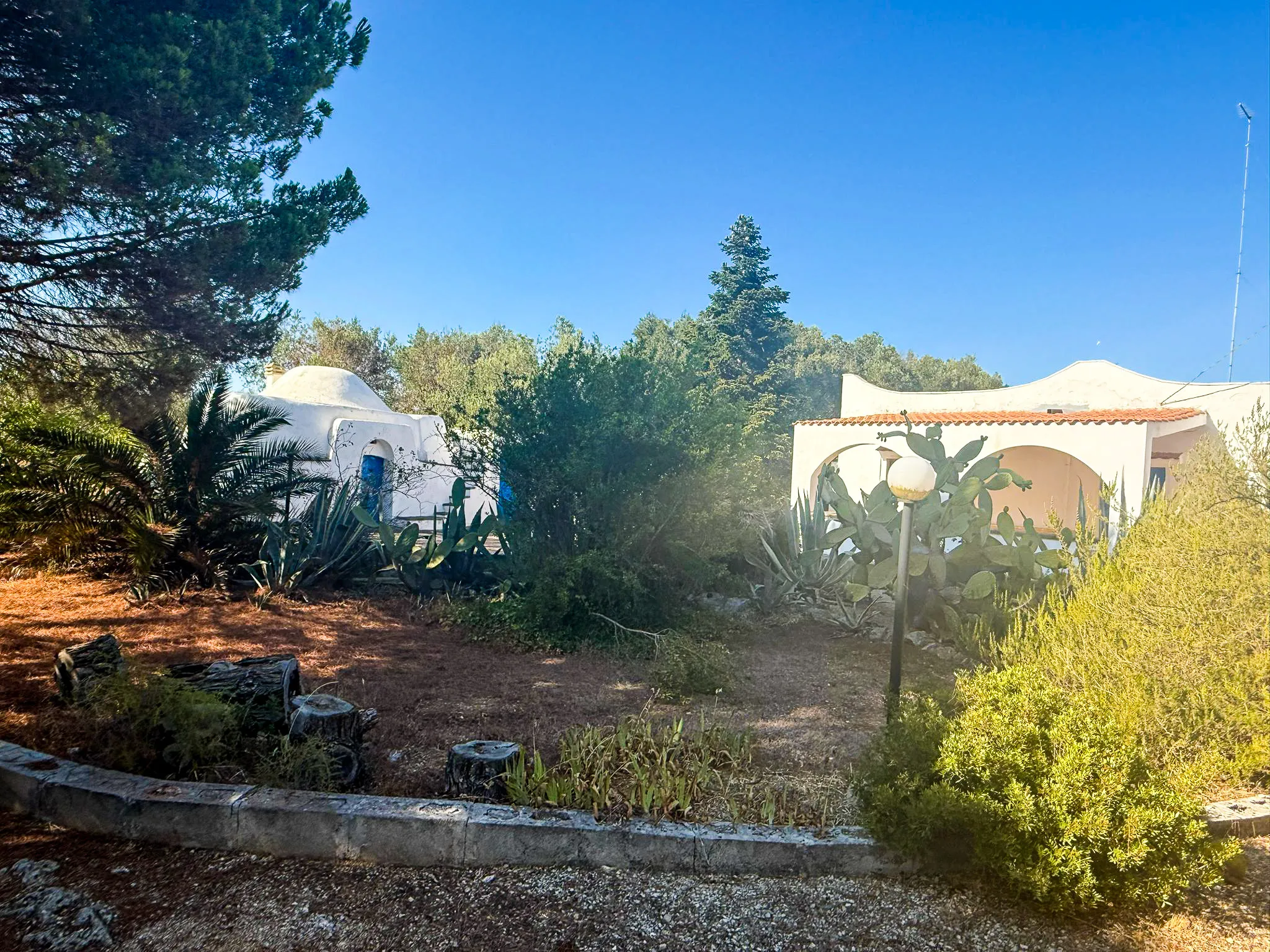 Foto 10 di 56 - Casa indipendente in vendita a Ostuni