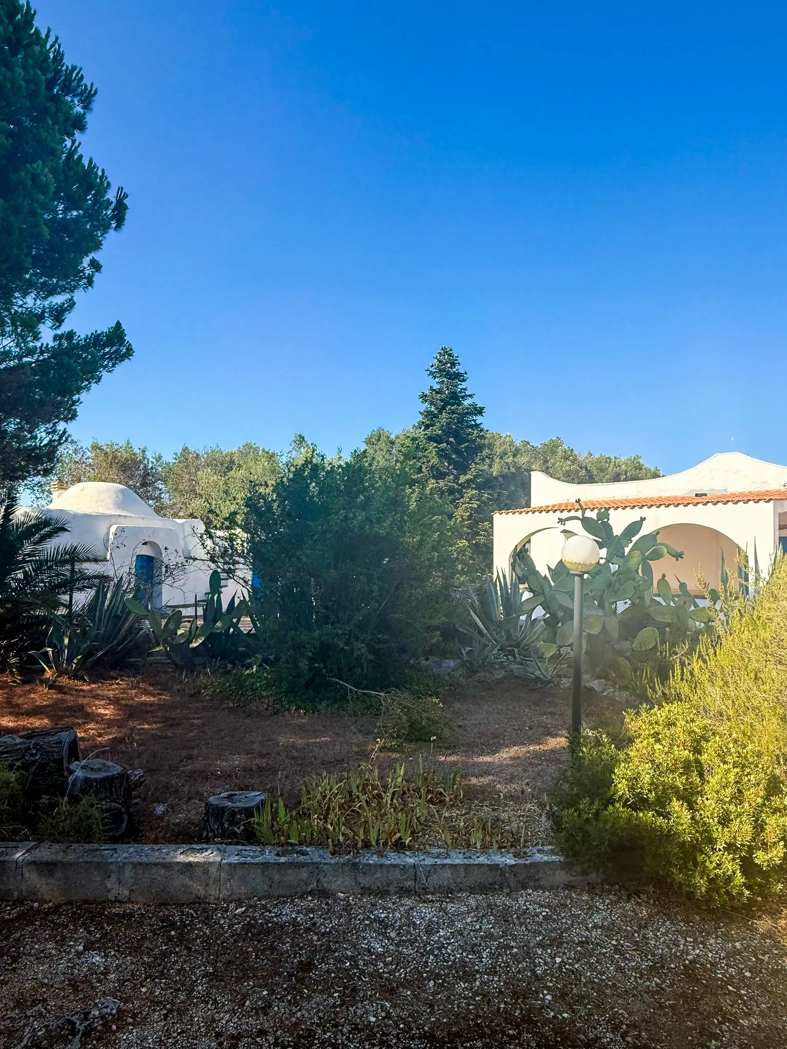 Foto 13 di 56 - Casa indipendente in vendita a Ostuni