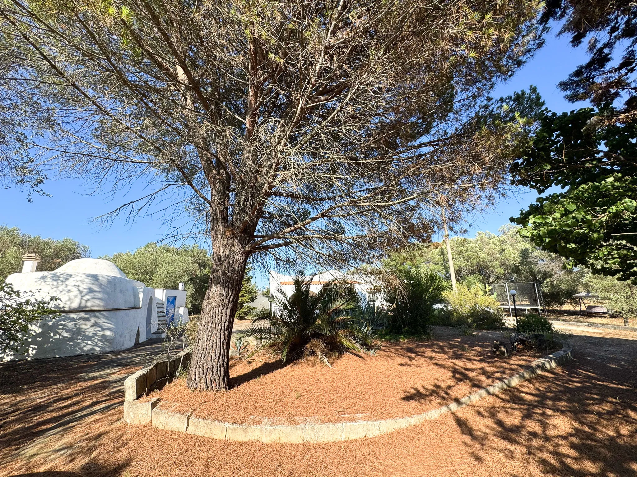 Foto 36 di 56 - Casa indipendente in vendita a Ostuni