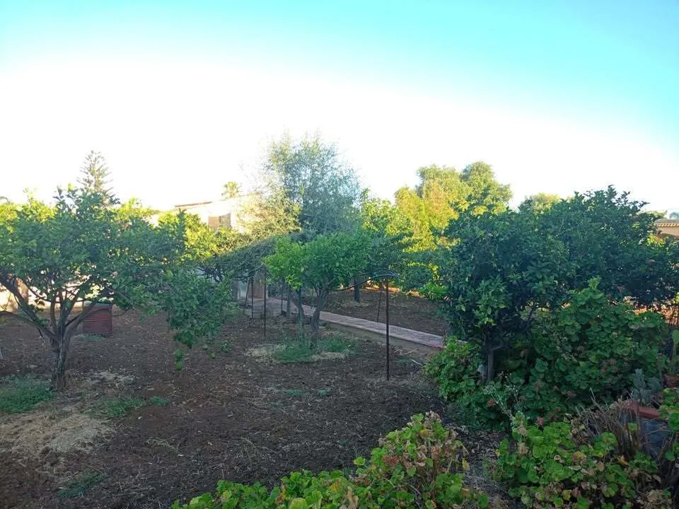 Foto 6 di 17 - Casa indipendente in vendita a Siracusa