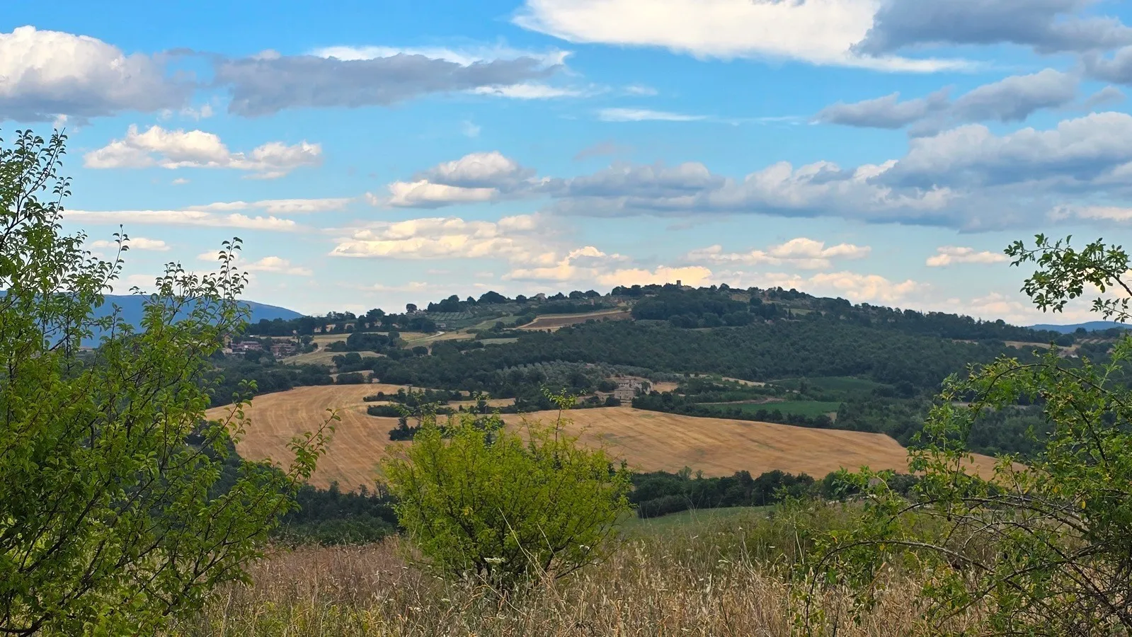 Foto 2 di 32 - Casa indipendente in vendita a Todi