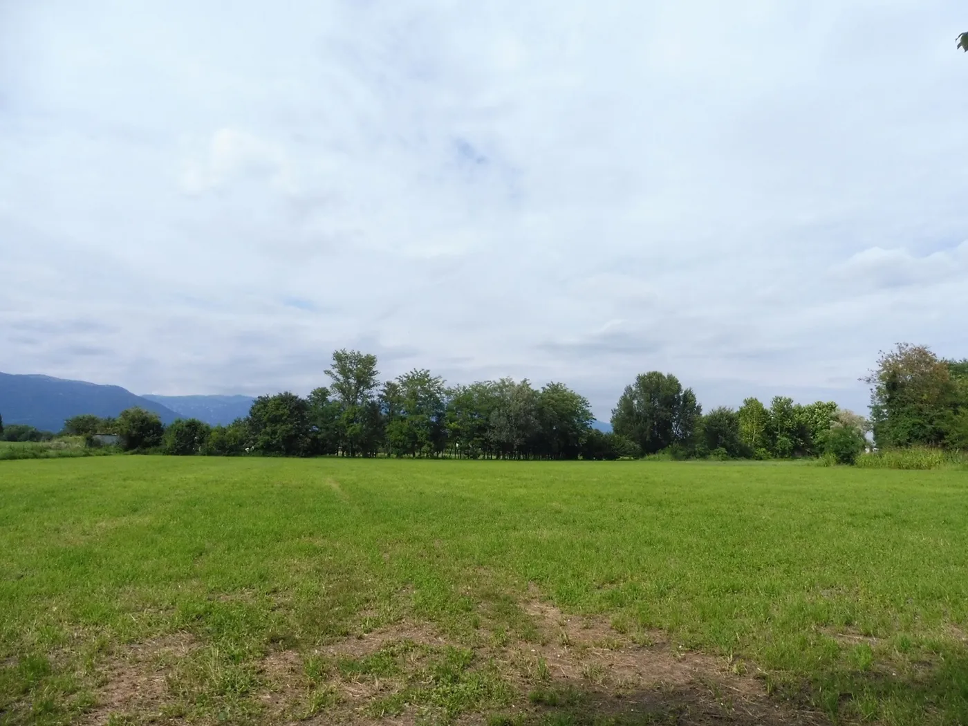 Terreno in vendita a Cartigliano