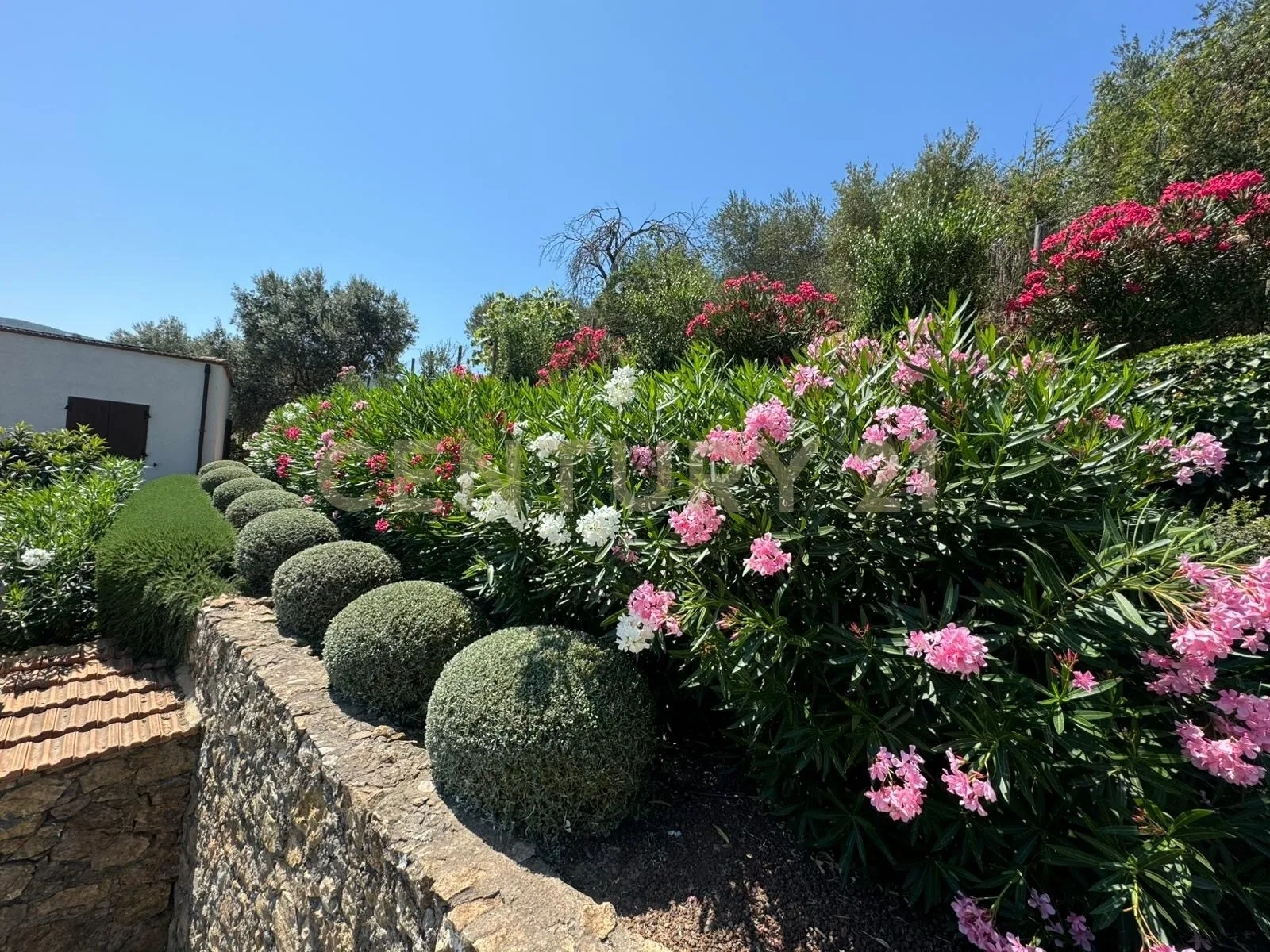 Foto 7 di 60 - Villa a schiera in vendita a Monte Argentario