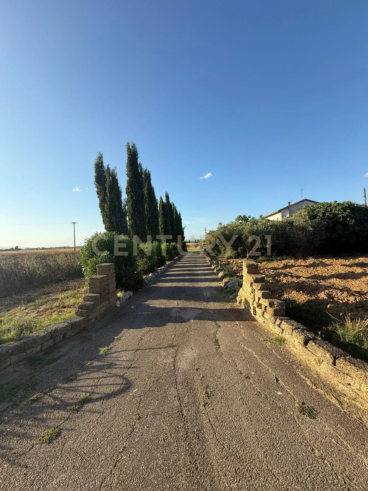 Foto 49 di 49 - Casa indipendente in vendita a Grosseto