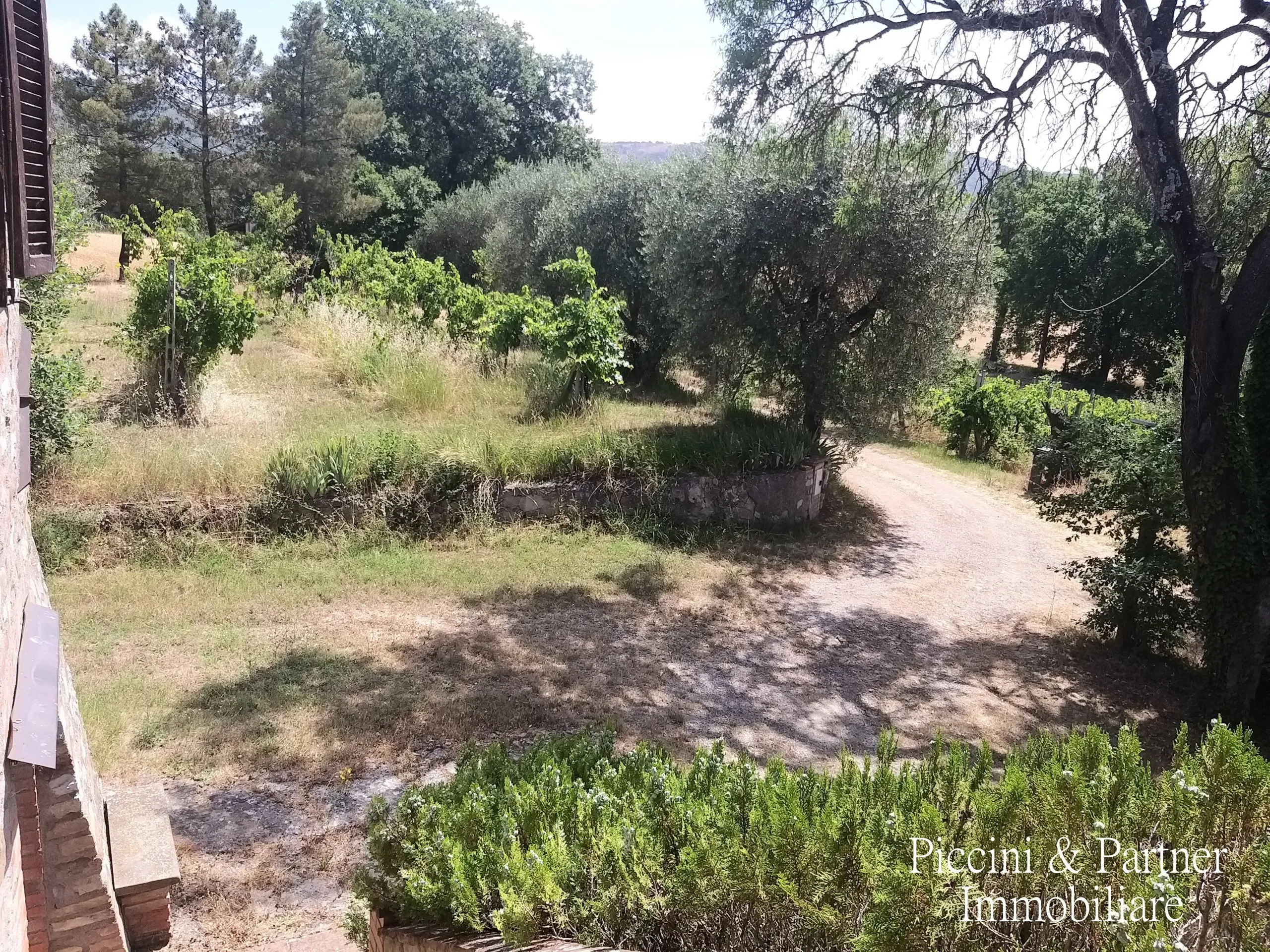 Foto 4 di 48 - Casa indipendente in vendita a Panicale