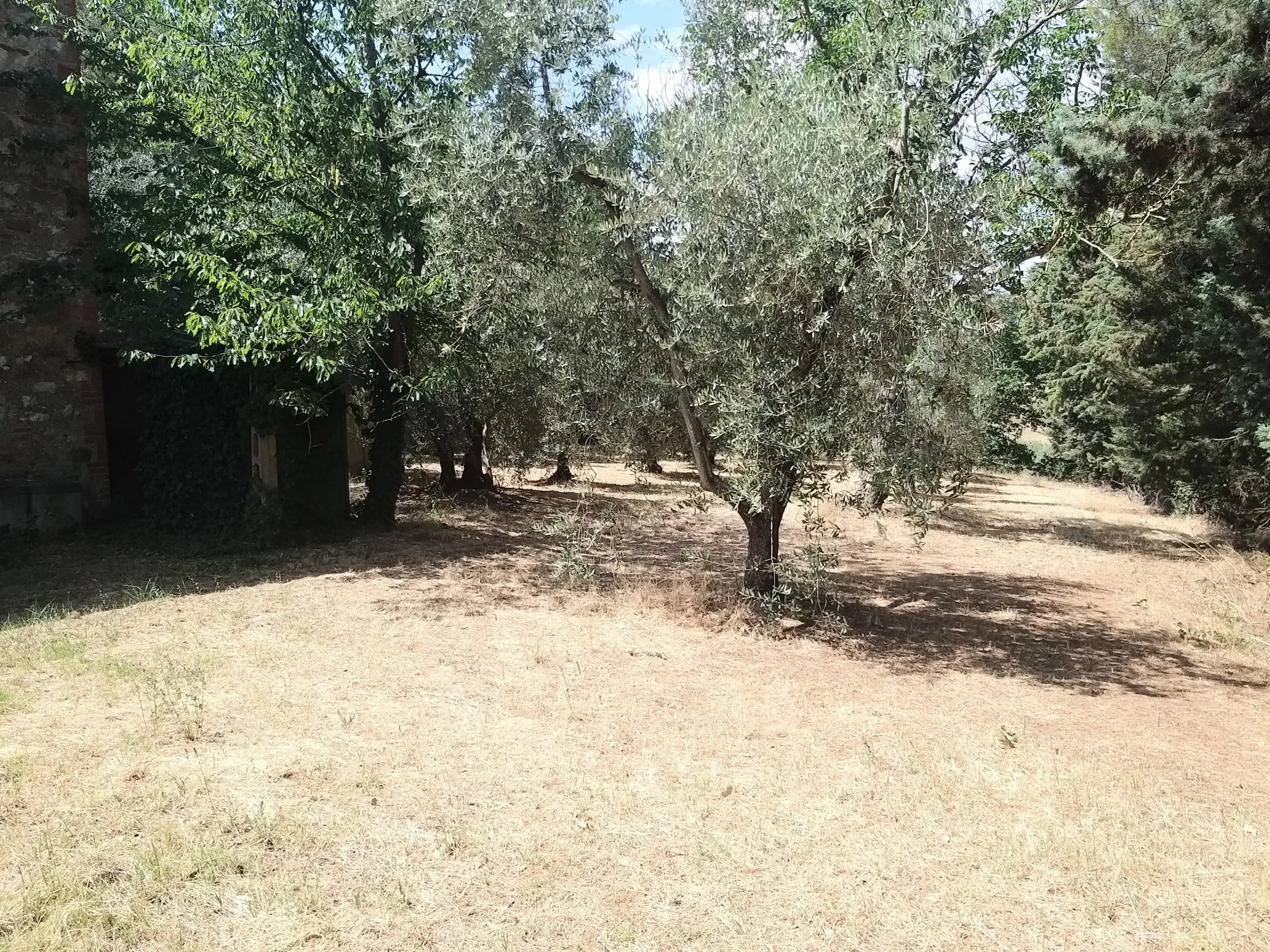 Foto 40 di 48 - Casa indipendente in vendita a Panicale