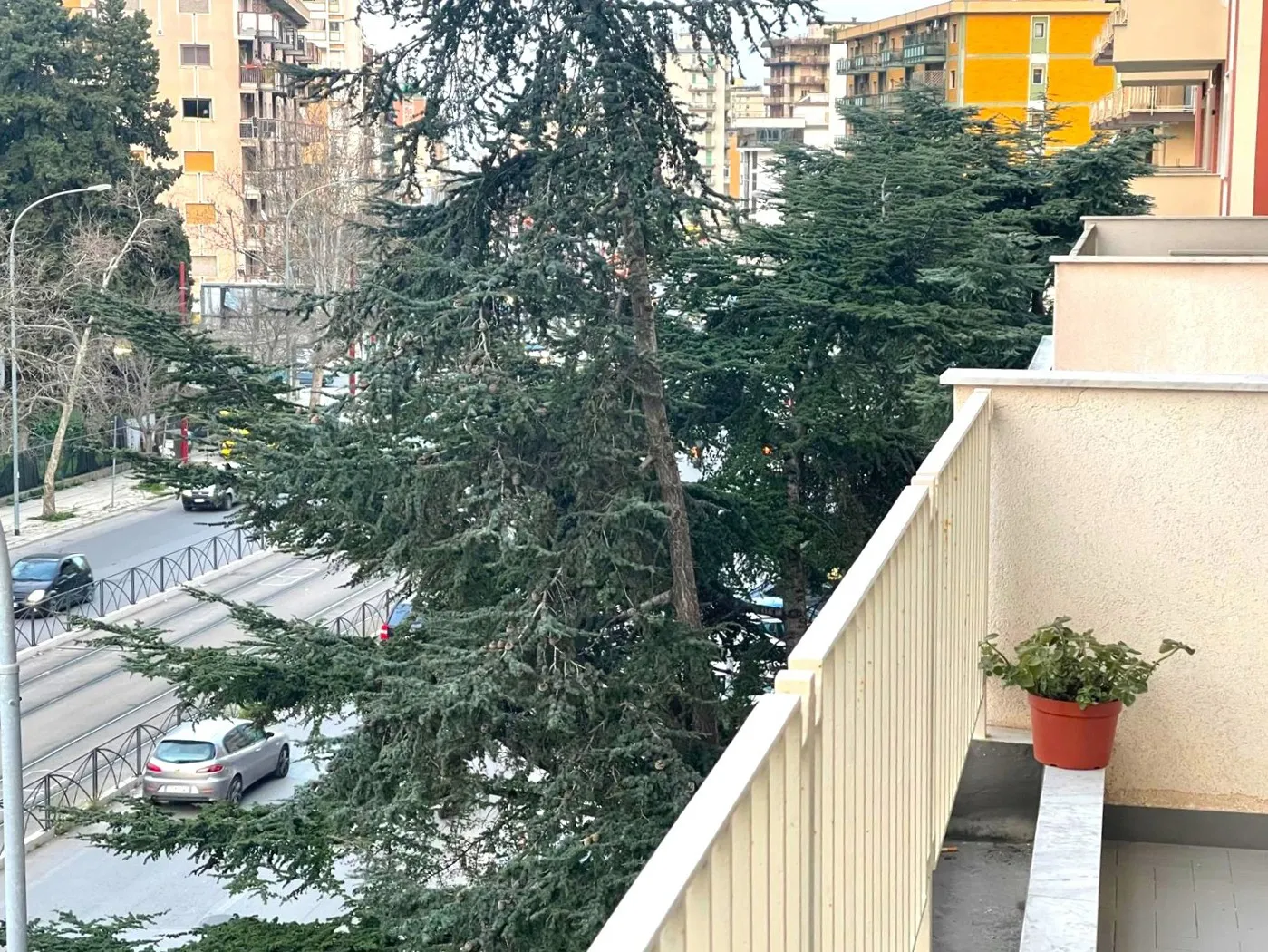 Foto 9 di 42 - Appartamento in vendita a Palermo