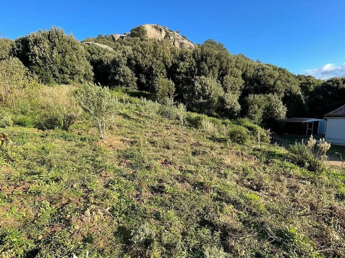 Foto 4 di 29 - Casa indipendente in vendita a Luogosanto